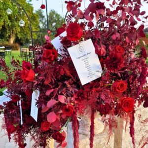 16-carrusel-bodas-bacco